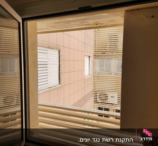 רשת נגד יונים מותקנת על חלון בניין